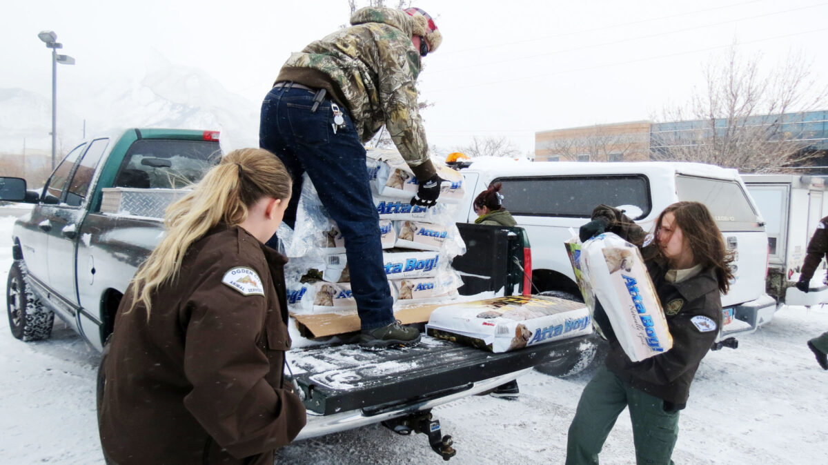 Ogden pet food company says defective bags caused 5M loss News